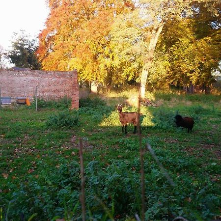 מלון Demuin Le Jardin Des Ecureuils מראה חיצוני תמונה