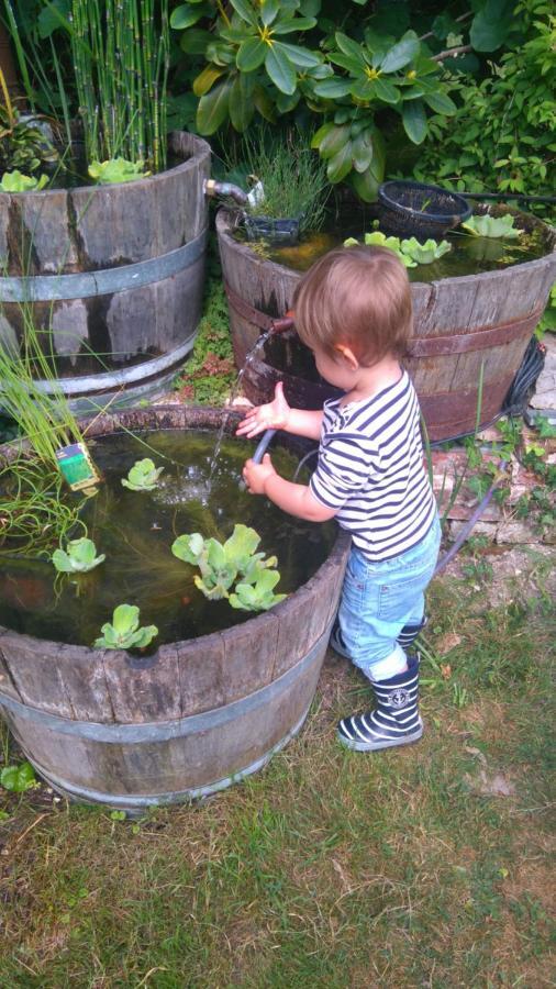 מלון Demuin Le Jardin Des Ecureuils מראה חיצוני תמונה