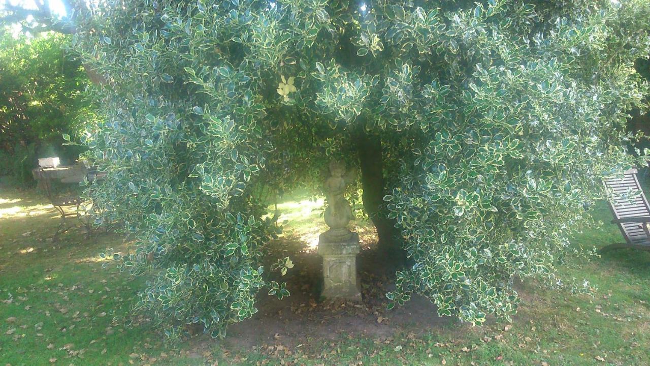 מלון Demuin Le Jardin Des Ecureuils מראה חיצוני תמונה
